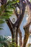 Hotel del Parque -Parque Histórico Guayaquil