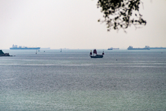 Hong Kong harbor