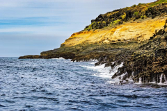 Punta Vicente Roca, Isabela Island