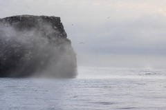 Isabela Island Dawn