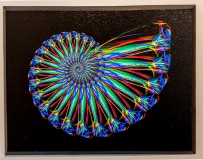 Neo-Nautilus