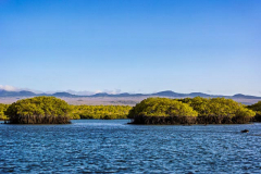 Caleta Tortuga Negra, Santa Cruz Island, Galapagos