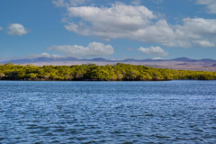 Caleta Tortuga Negra, Santa Cruz Island, Galapagos