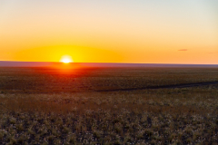Gobi dawn