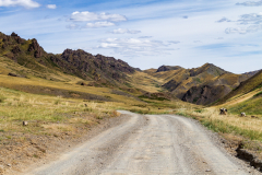 In the Gobi