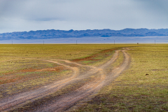 In the middle of the Gobi