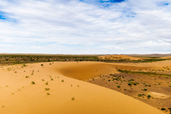 Gobi Desert