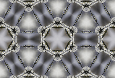 Abstract-5
