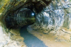 Lava Tunnels, Santa Cruz highlands, Galapagos